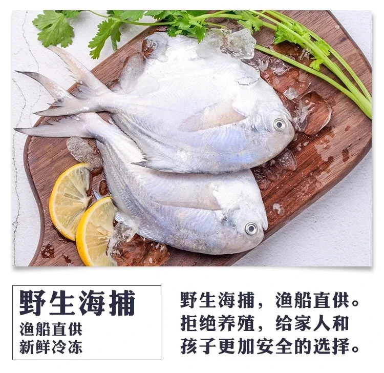 Z仓野生银鲳鱼,全仓三件江浙沪皖包邮】舟山野生银鲳鱼,平鱼大鲳鱼