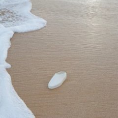 Ss