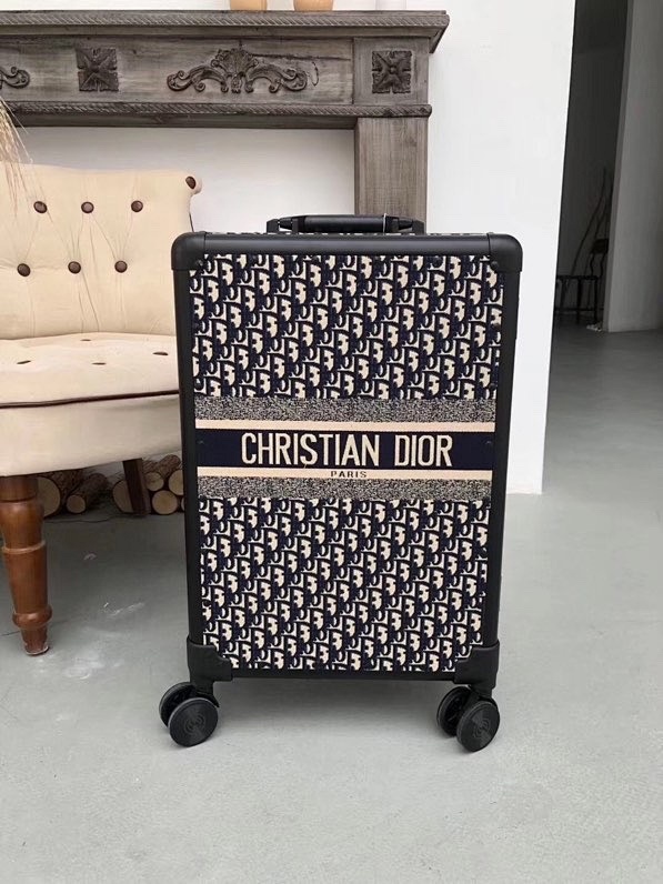Dior travel bag