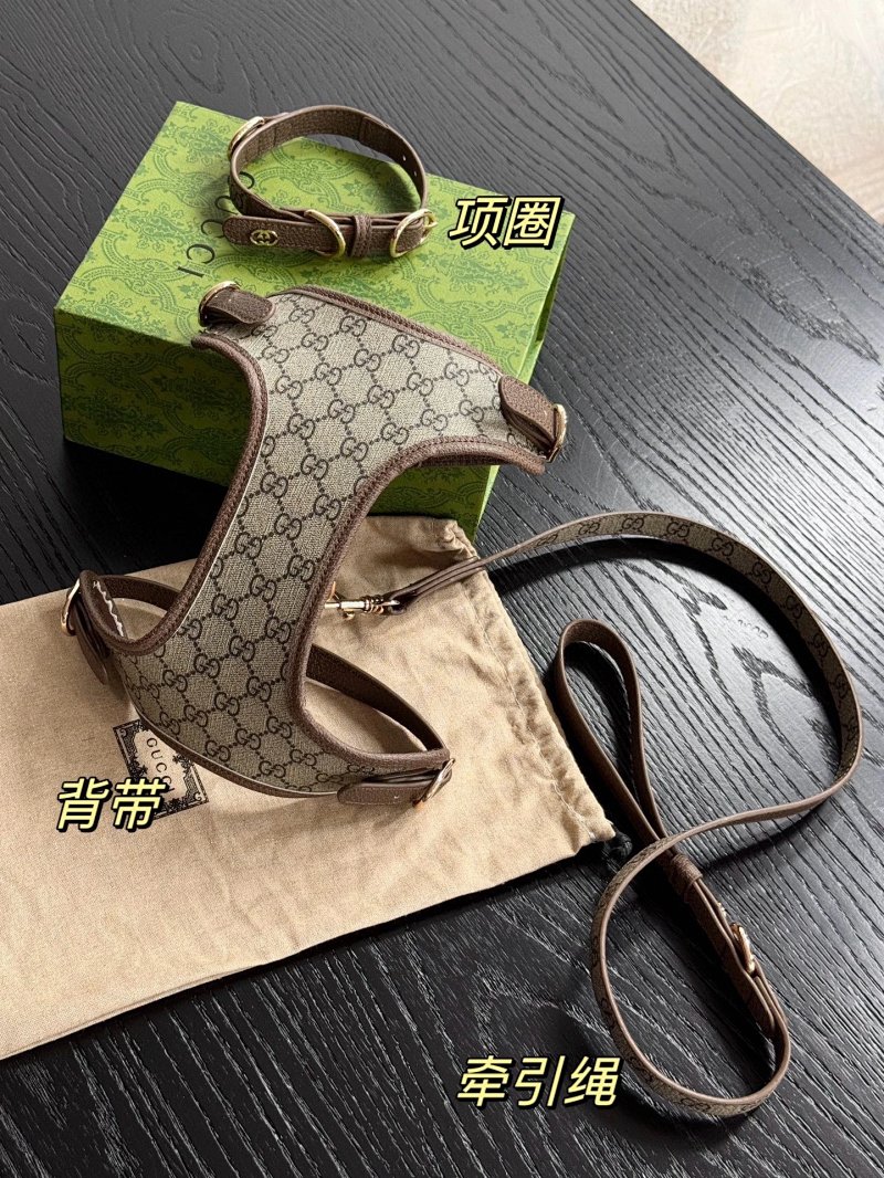 Gucci & & 3 Gucci
