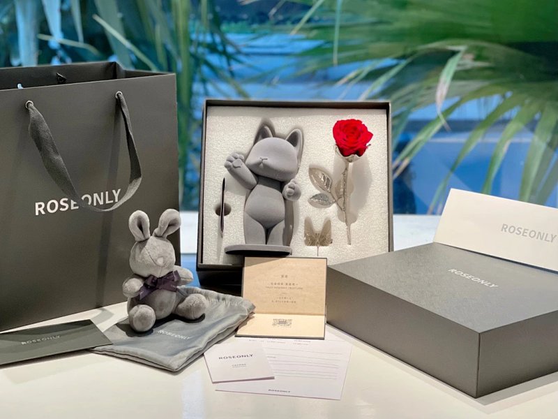 Plush from Celebrity