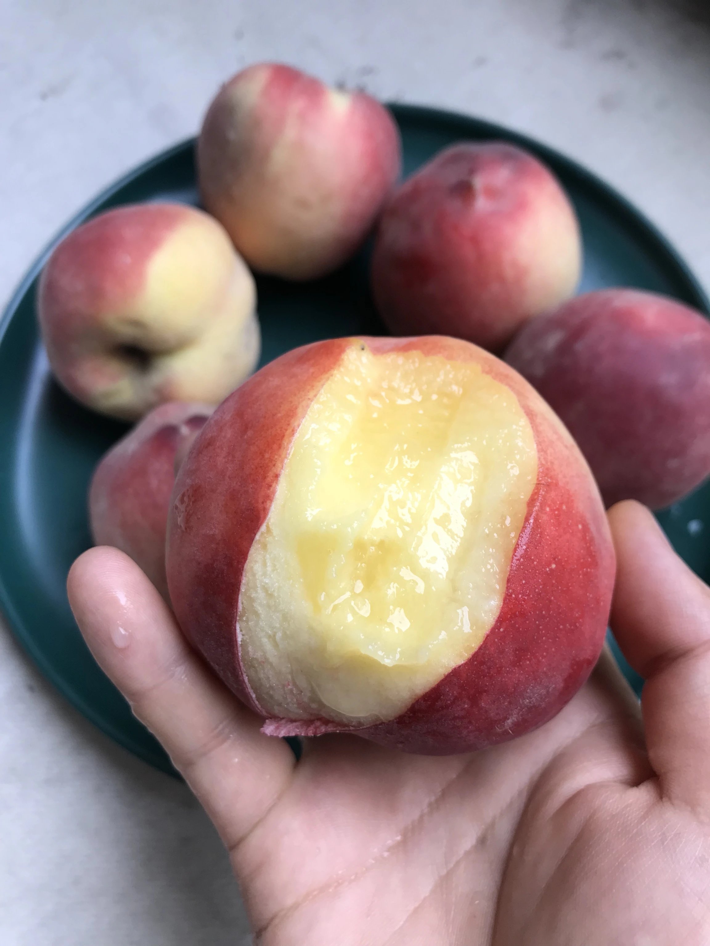 红梅水蜜桃新品种试吃!