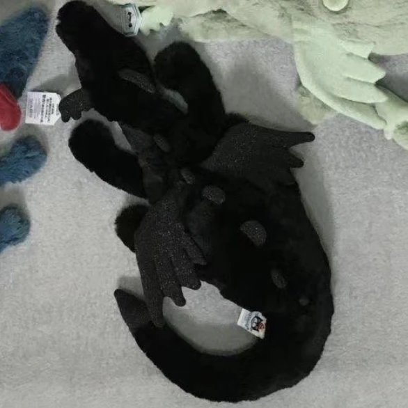 Black Dragon 50cm