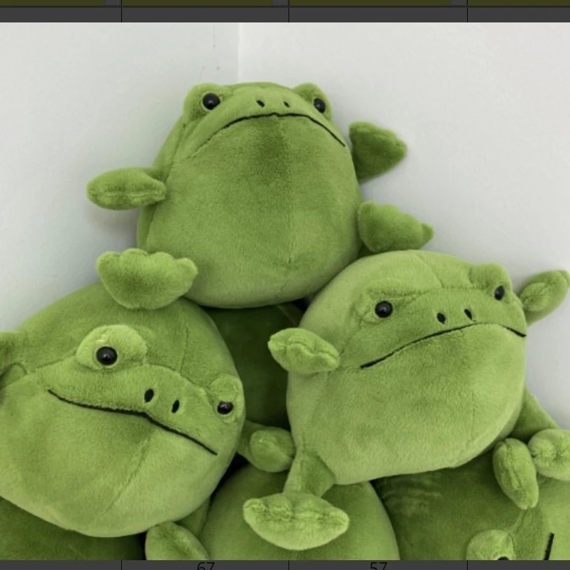 Rain Frog (20cm)