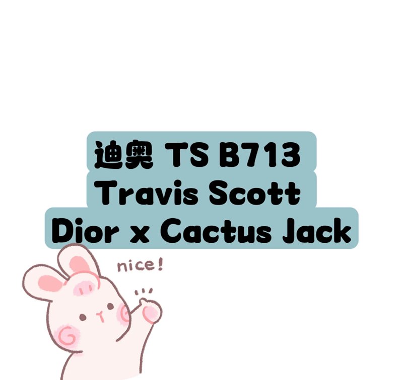 TS X Cactus Jack
