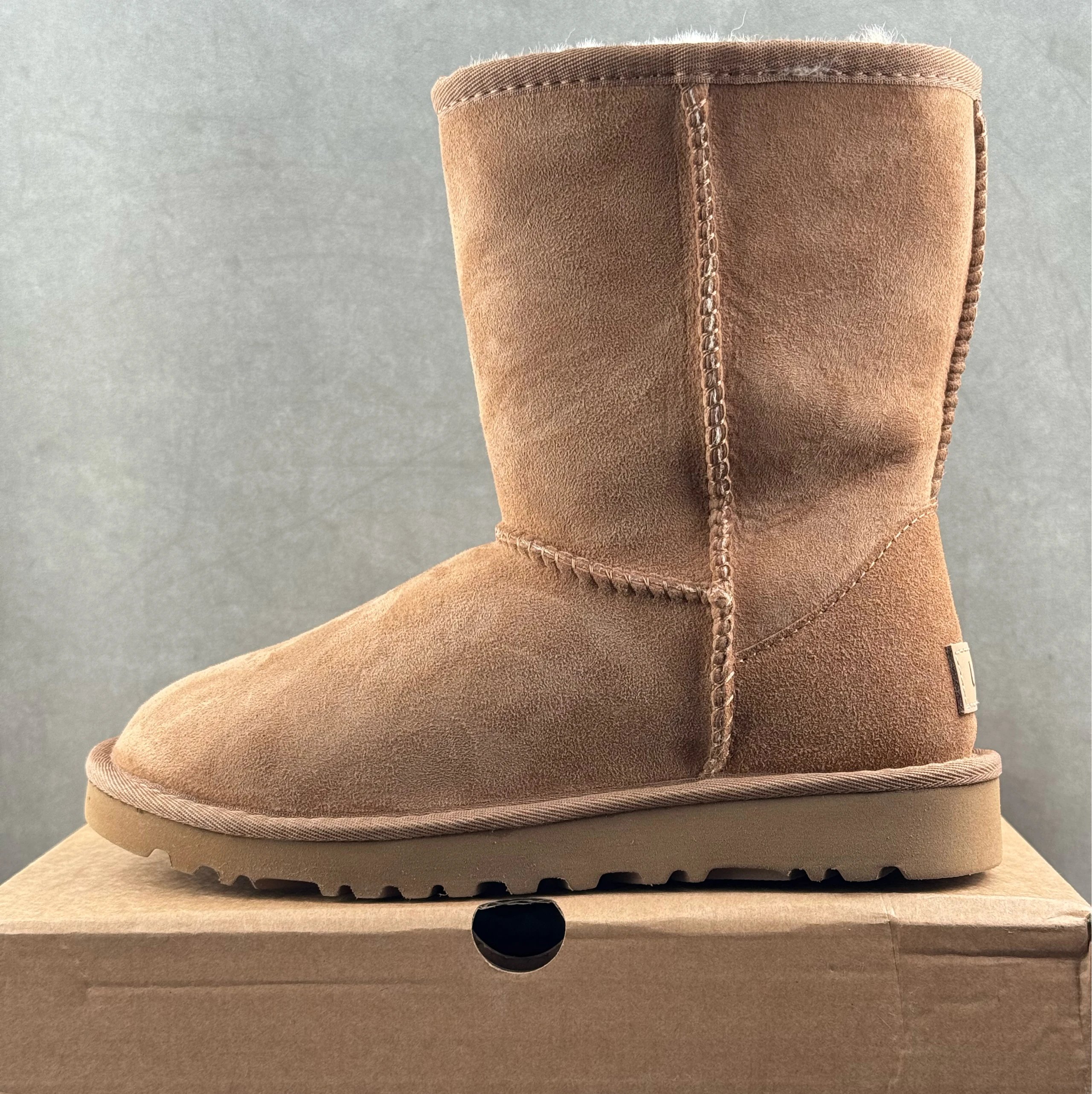 High Top Chestnut 1016223
