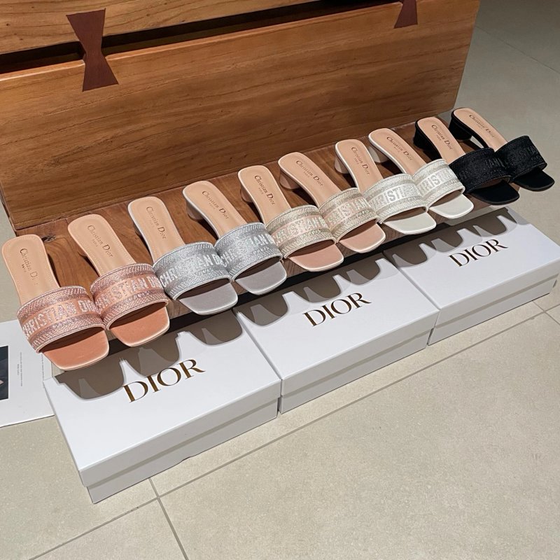 Dior slides