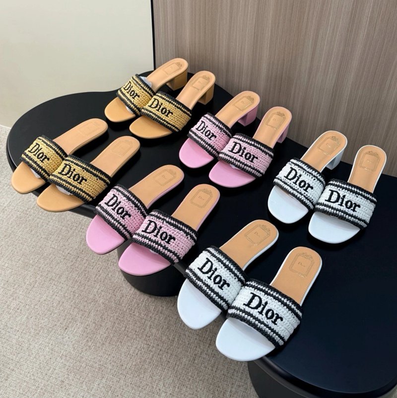 Dior slides