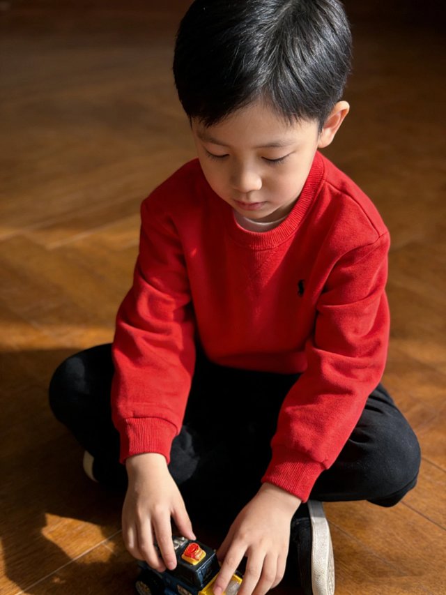 Ralph Lauren Children's Hoodie: seller detail photo 6