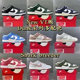 thumbnail for 【New VT Version】NK Dunk Low SP Series !!