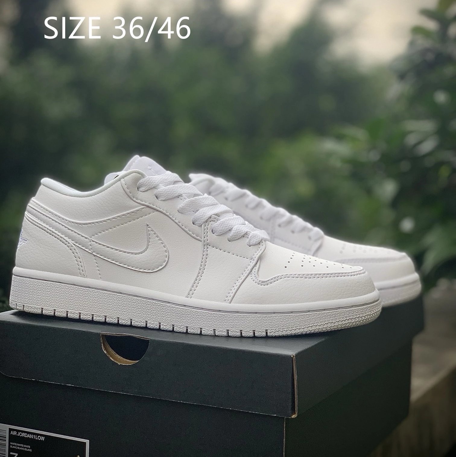 Product view 19