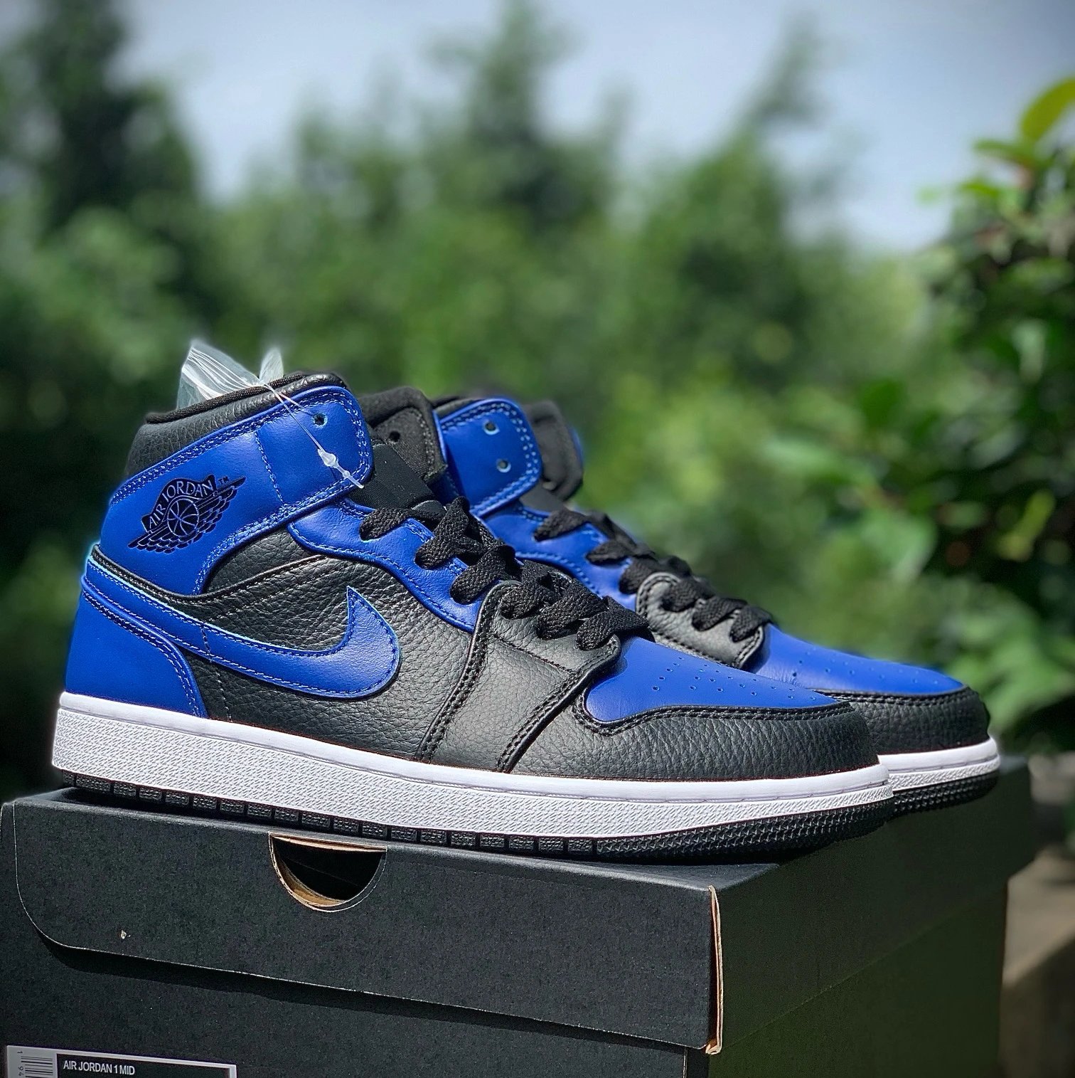 Product view 3