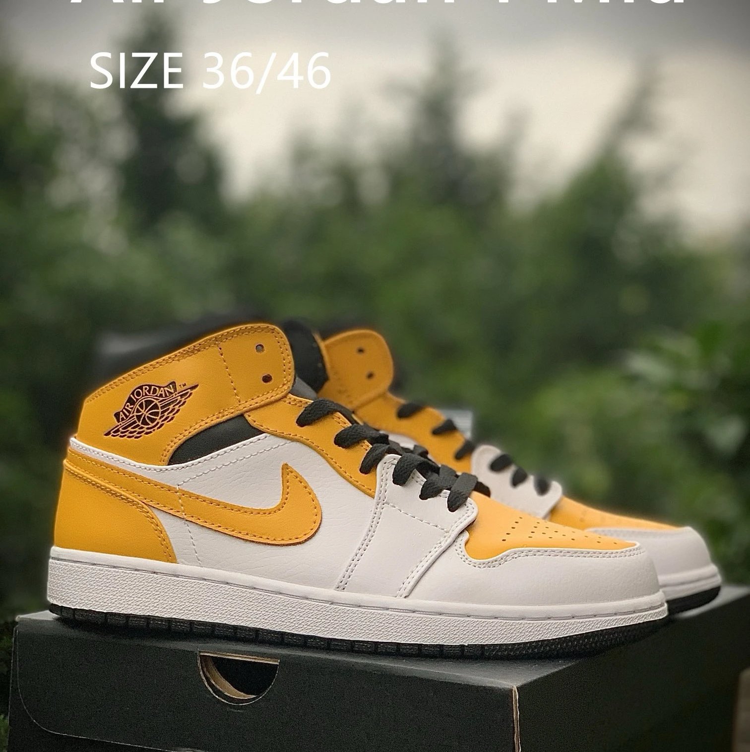 Product view 2