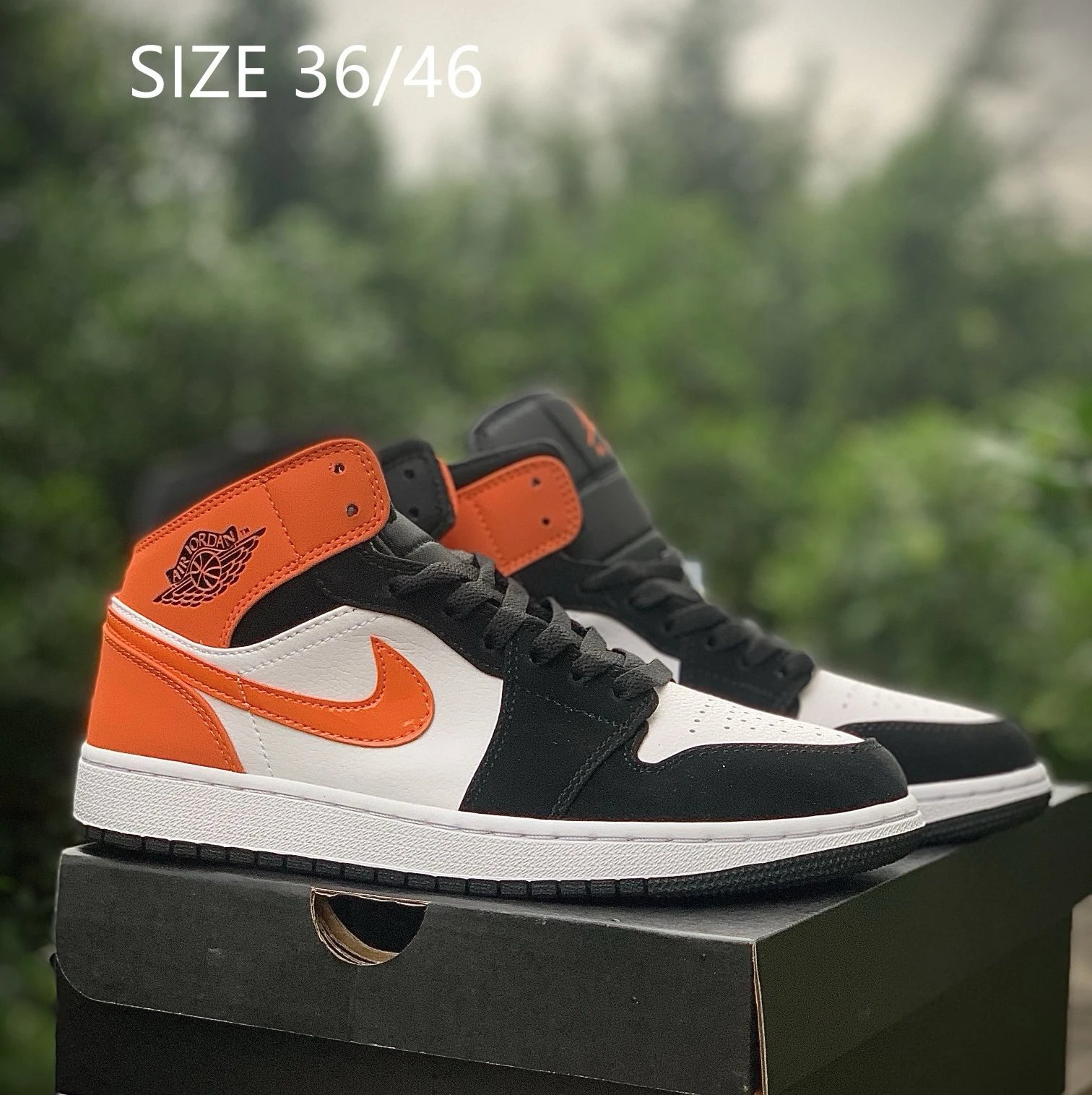 Product view 31