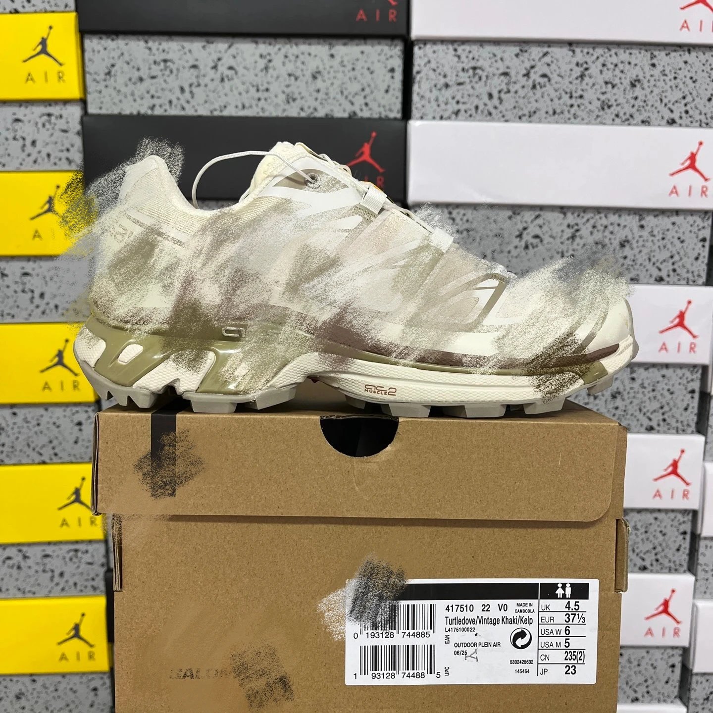 Turtledove Brown 417510 36-46.5