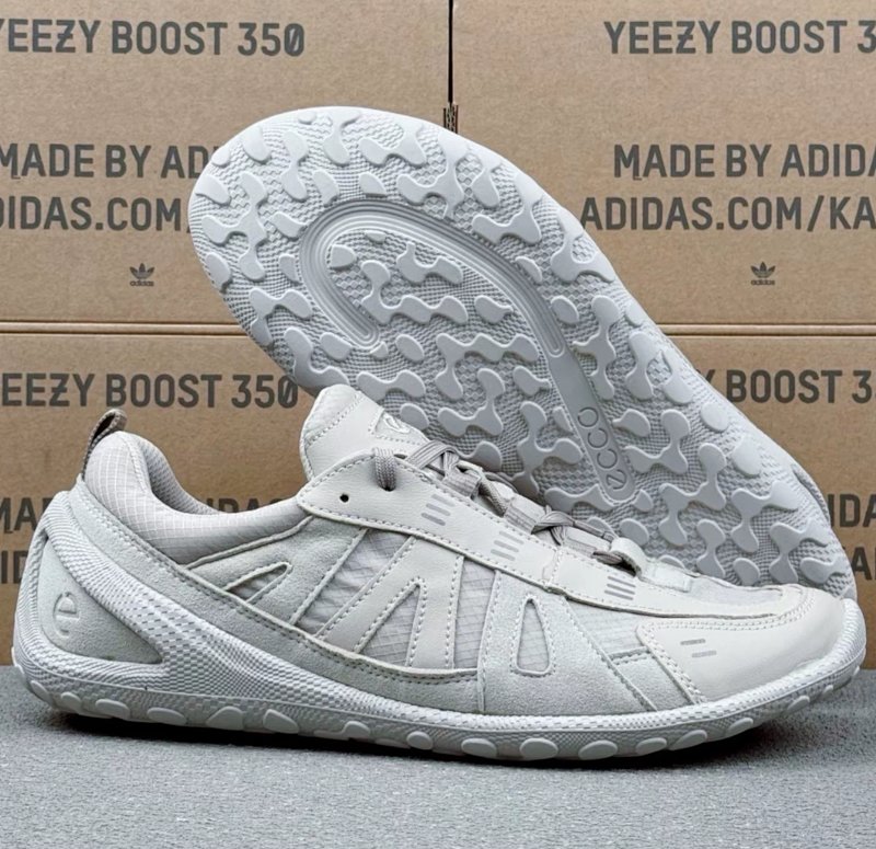 Ecco Biom Lite W
