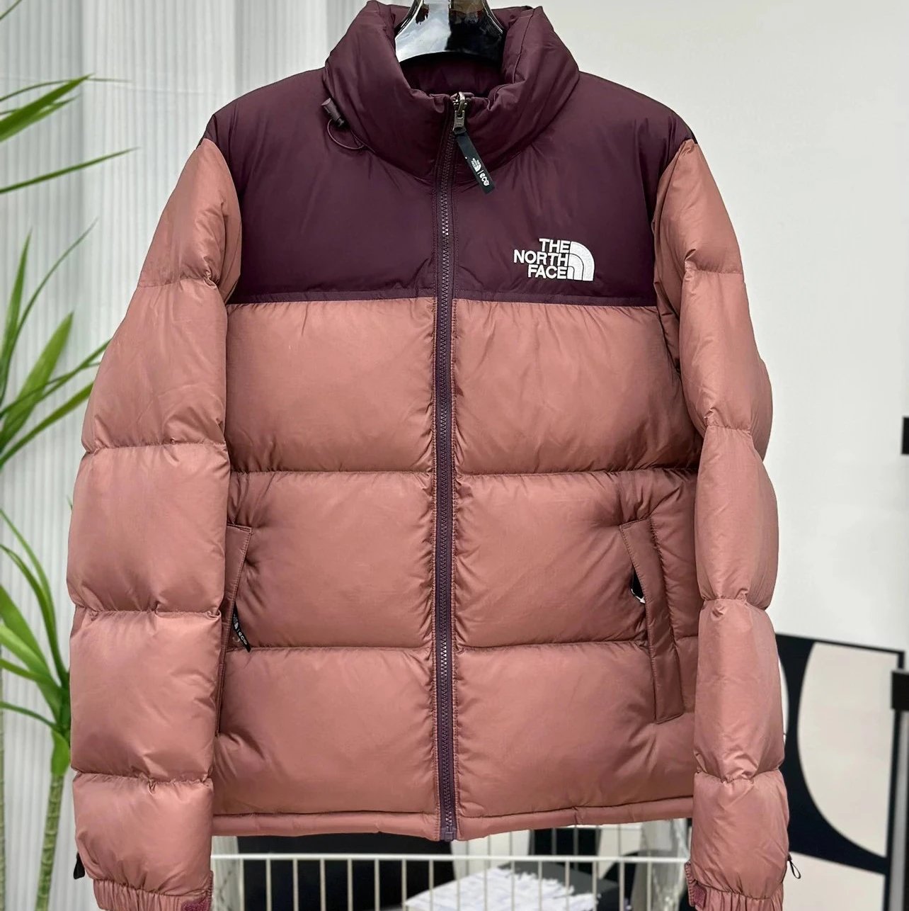 Color 8 Wine Red