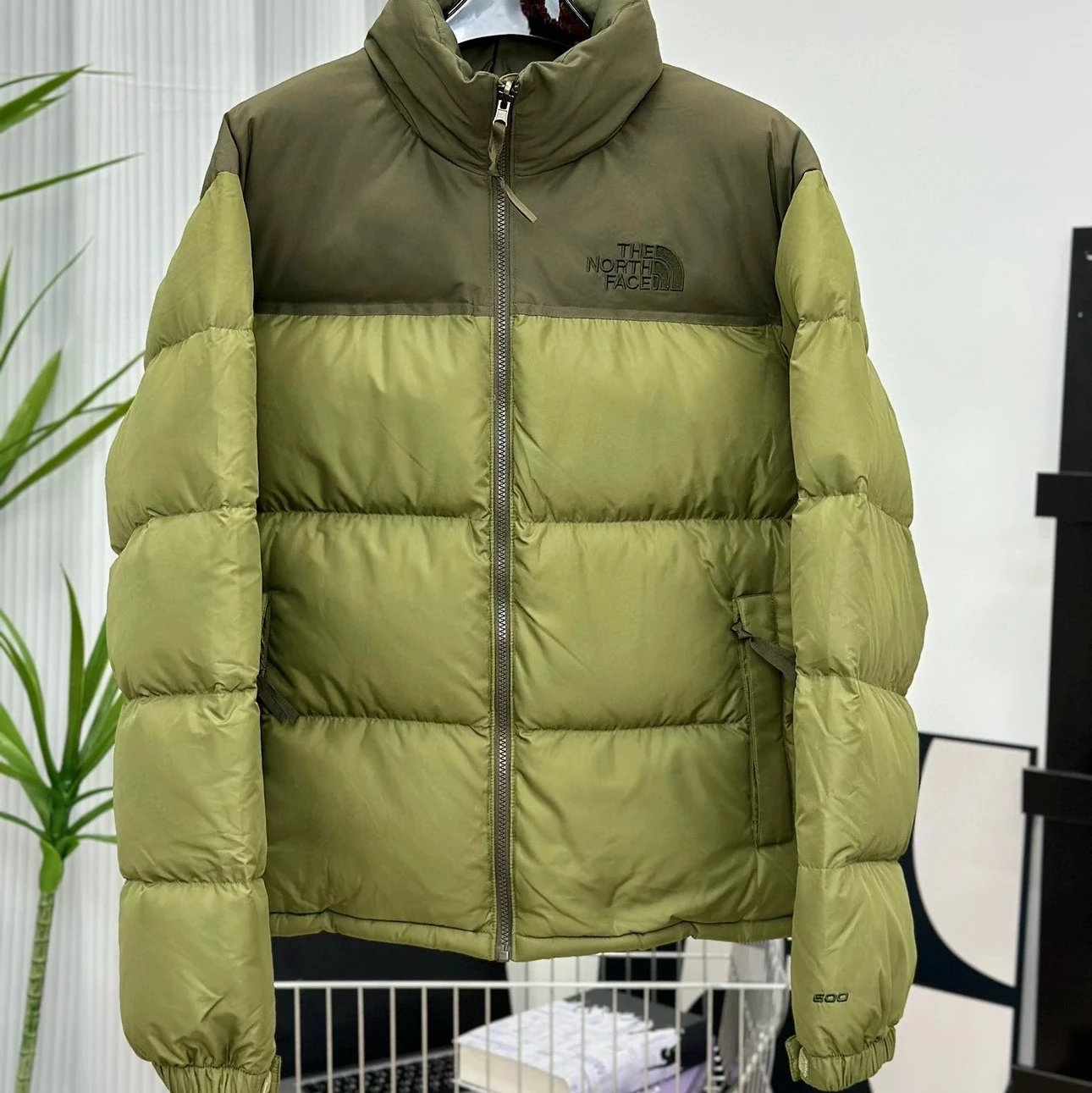 Color 2 Dark Green
