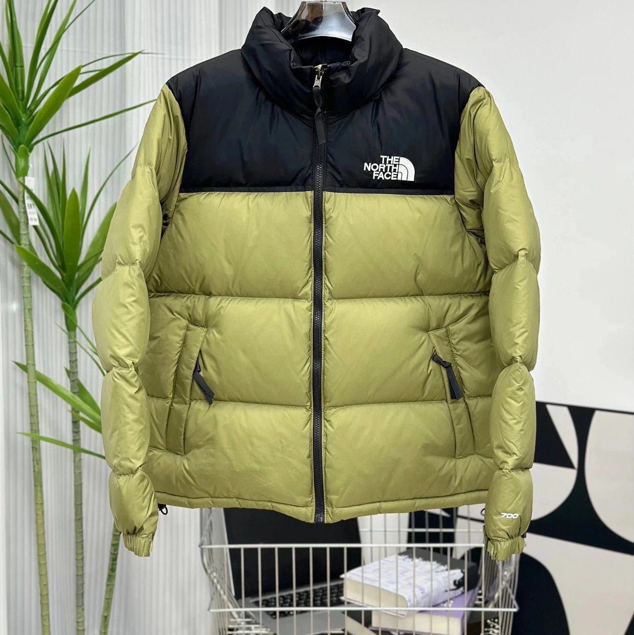 Color 5 Black Green