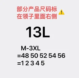 thumbnail for Top 6031-13L down jacket