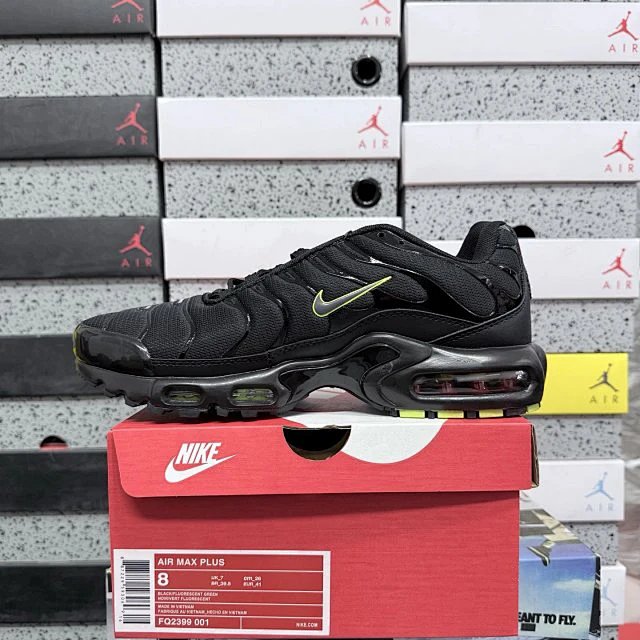 Nike WZ Air Max Plus