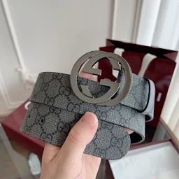 thumbnail for High-end cool belt (Belt)