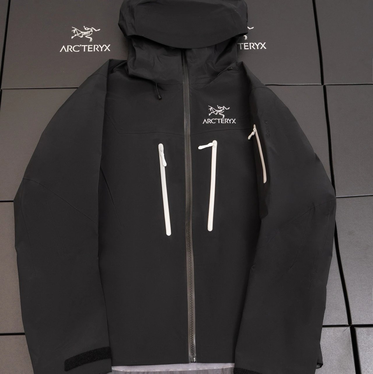 Orca
