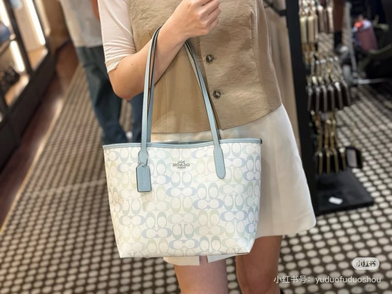 Louis Vuitton City Pvc OK