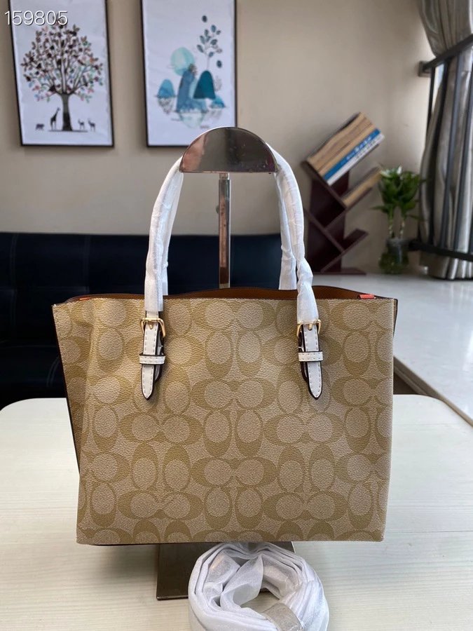 Coach Mollie Tote 25 in Signature Canvas
