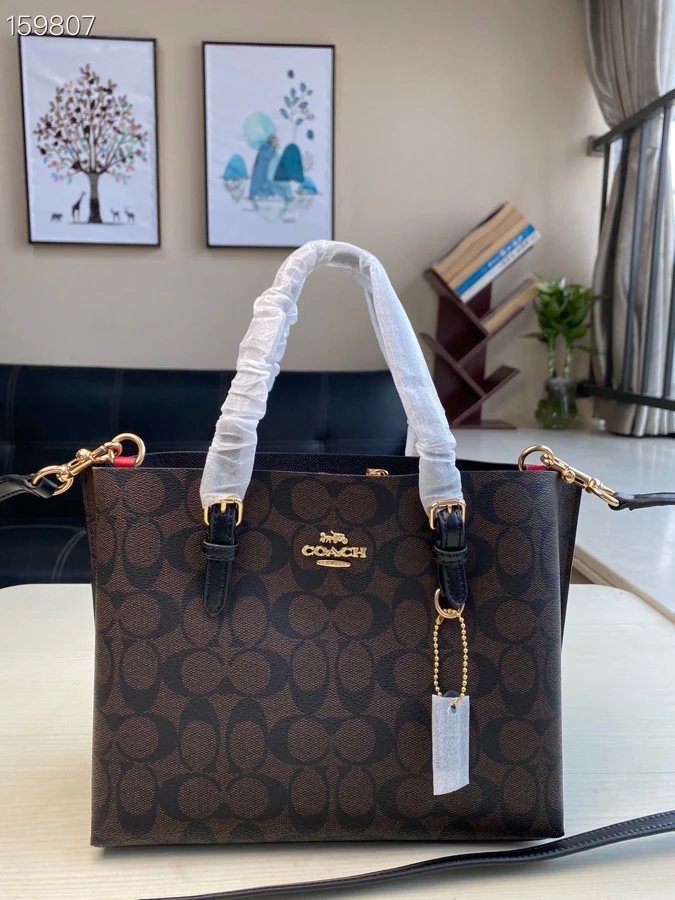 Coach Mollie Tote Bag 6