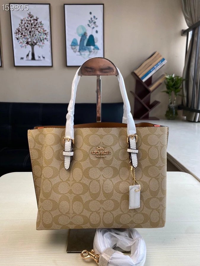 Coach Mollie Tote Bag 3