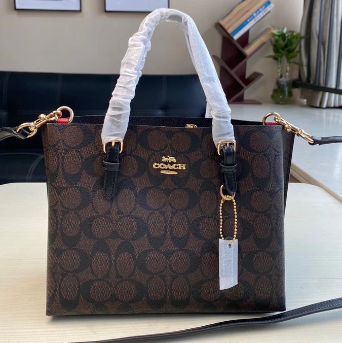 Coach Mollie Tote Bag 4