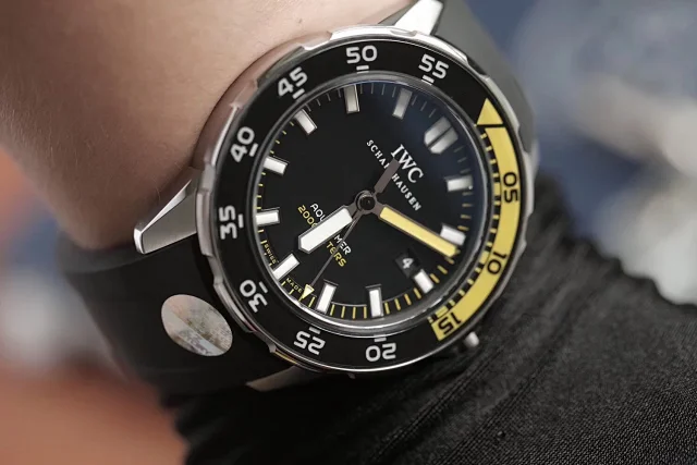 ZZ厂万国 海洋时计 44mm(图1)