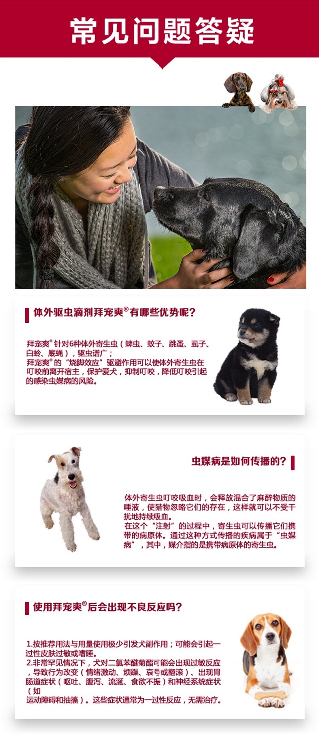 拜宠爽犬用体外驱虫滴剂4 10kgx8支全面驱杀体外寄生虫除跳蚤虱子杀蜱虫蚊子白蛉厩蝇耳螨德国拜耳老品牌 拜宠爽犬用体外驱虫滴剂4 10kgx8支全面驱杀体外寄生虫除跳蚤虱子杀蜱虫蚊子白蛉厩蝇耳螨德国拜耳老品牌