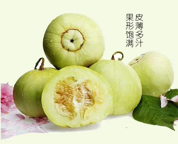 马连庄甜瓜小香瓜4.5斤瓜香浓郁蜜宝甜瓜非绿宝石羊角蜜新鲜水果