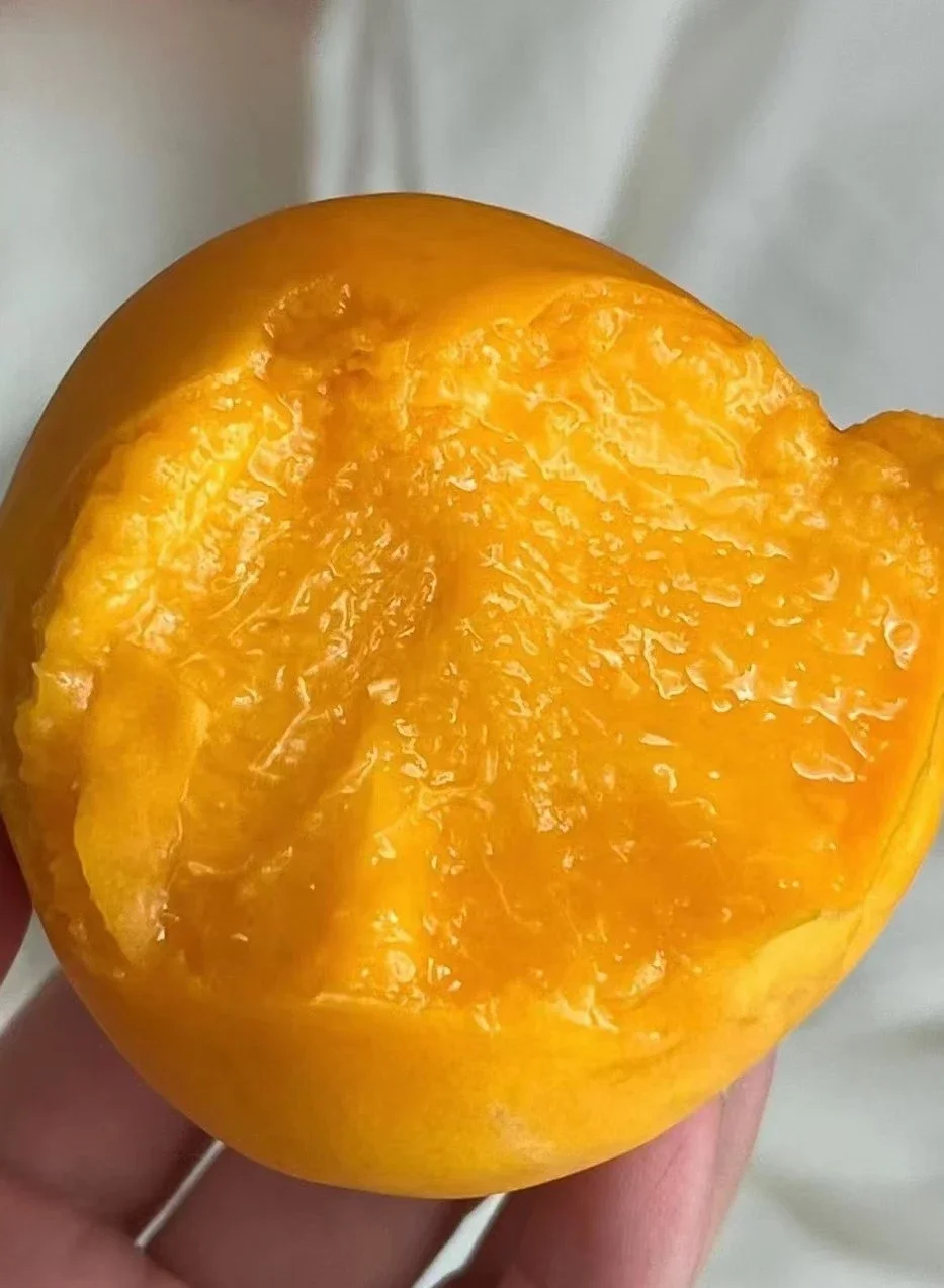 新品种）仿有机标准种植无公害芒芒桃香蜜黄桃奶油蟠桃黄金蜜黄桃