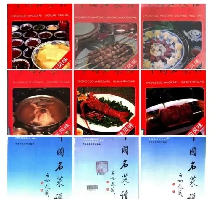 pdf Electronic Version of Chinese Recipes Provincial Flavor Series