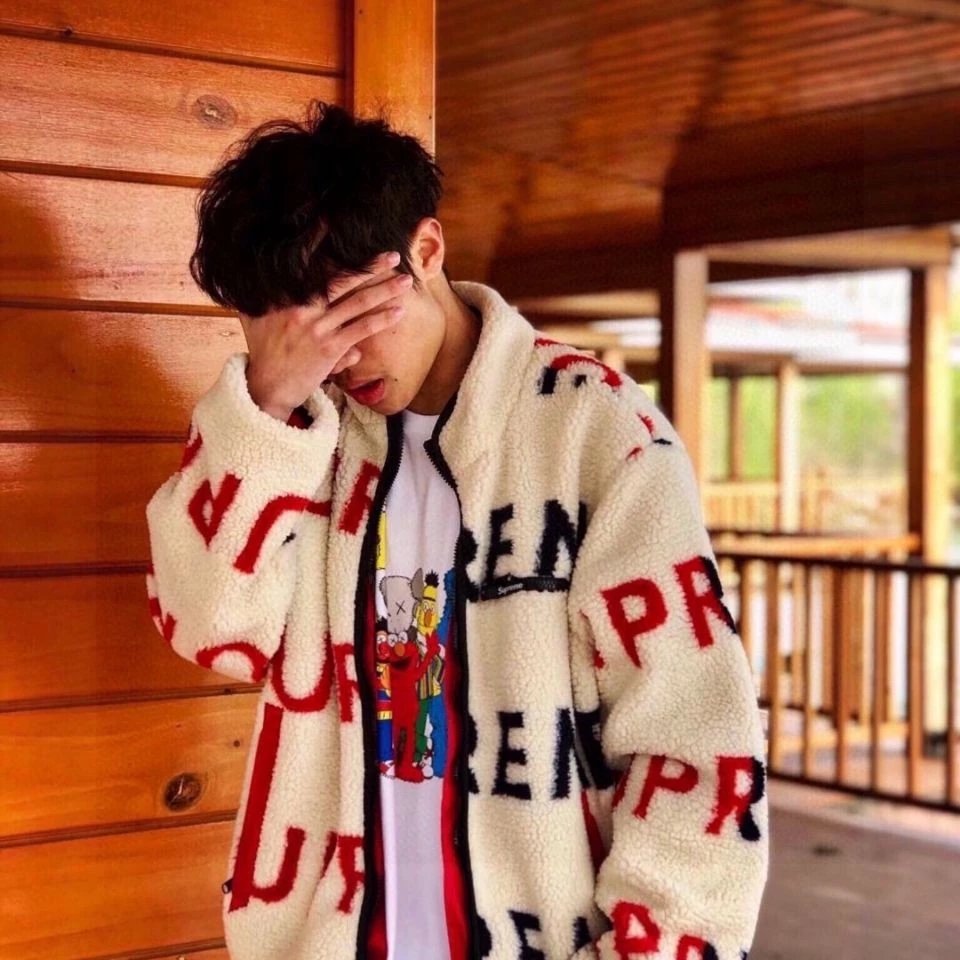 supreme x tnf联名款摇粒绒外套 2