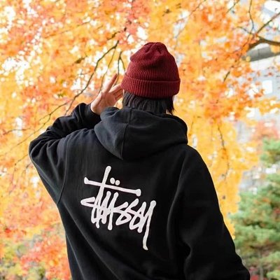 Stussy Hoodies