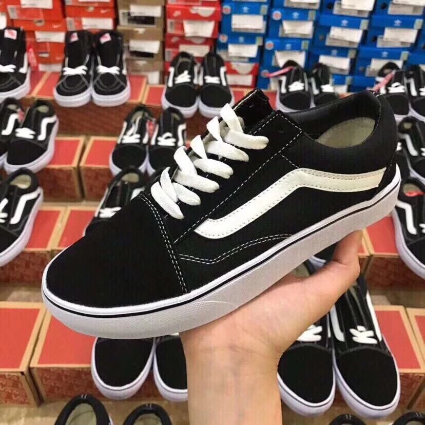 Vans Low Top Canvas Shoe