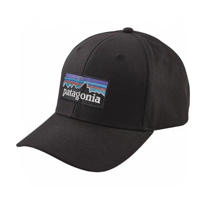 Patagonia Baseball Cap