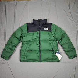 thumbnail for 十几个配色现货供应 Top巅峰版本 85白鸭绒 上身效果无敌 原厂YKK五金 700蓬 TheNorthFace北面1996羽绒服 经典款/美版 绿色