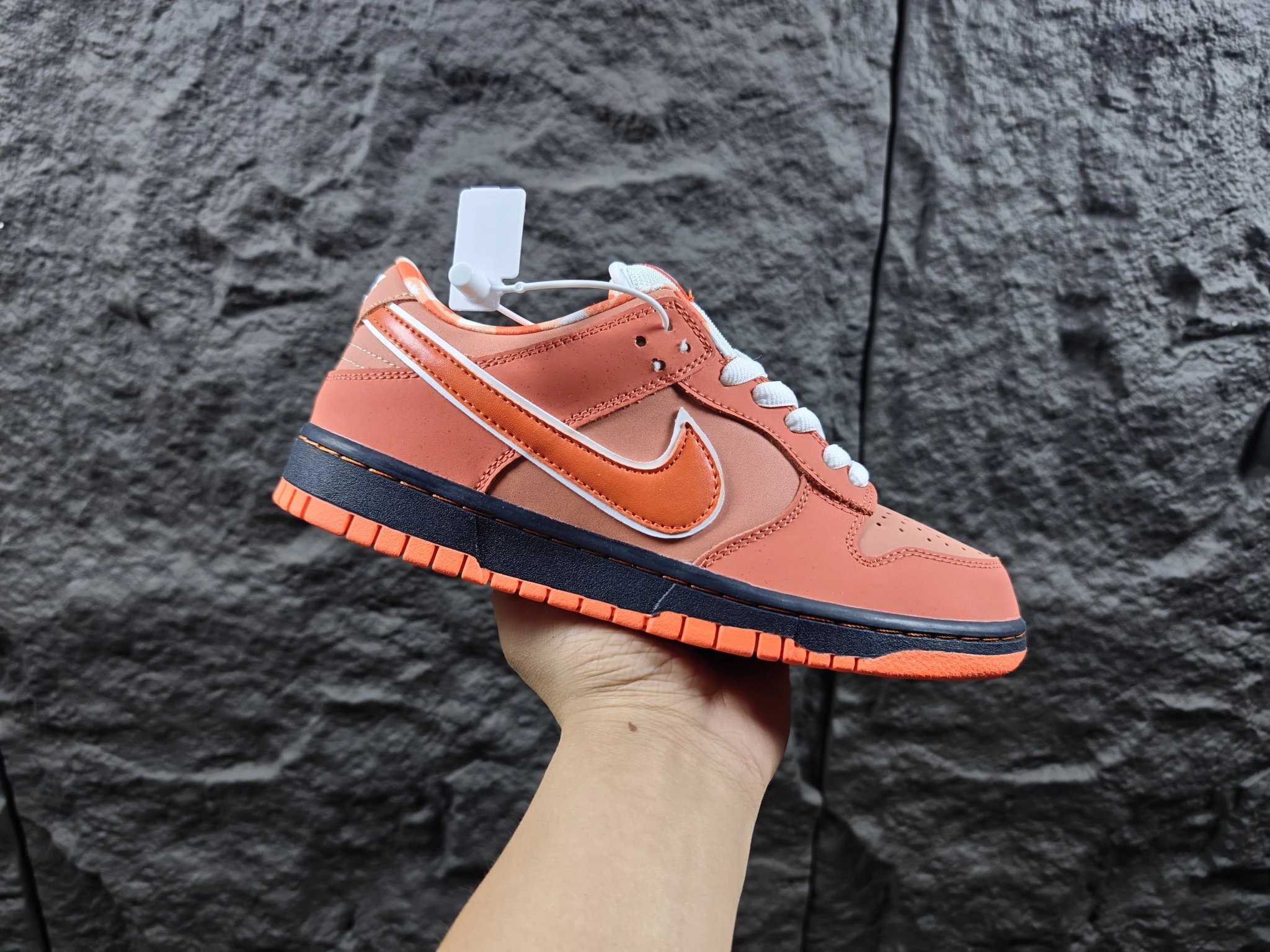 Nike x Concepts Dunk SB Orange Lobster Orange
