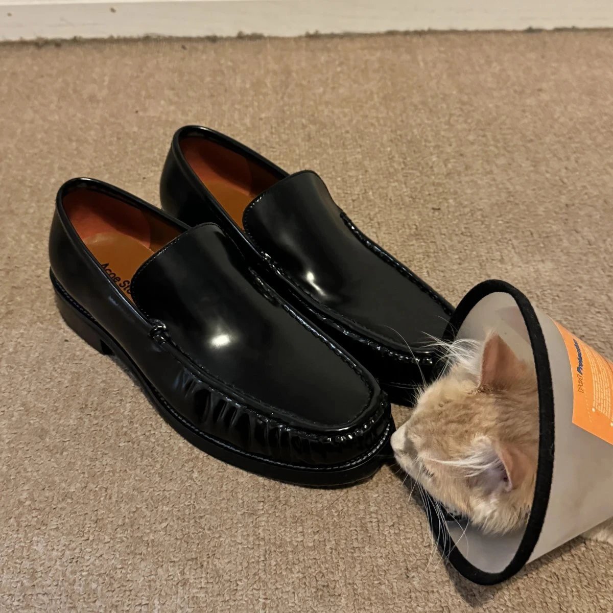 46 [No logo, no refund or exchange after placing the order, with a construction period of 15-45 days]