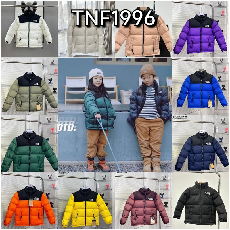The North Face down jacket