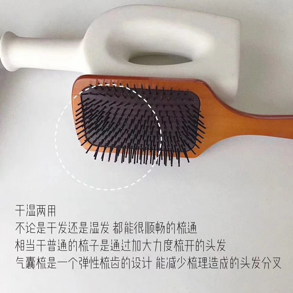 Aveda气垫梳贵妇梳 14
