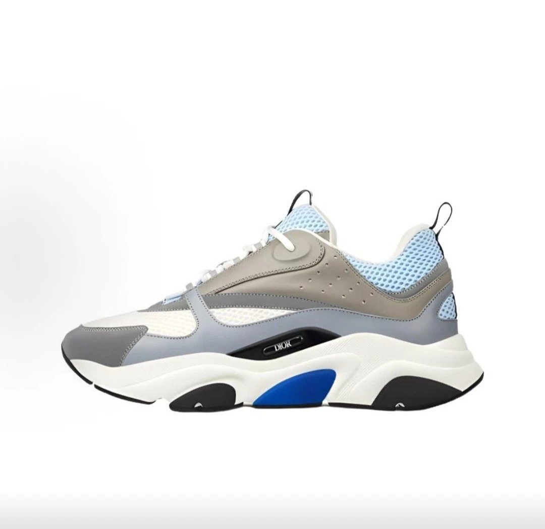 Dior B22 Low Sneaker