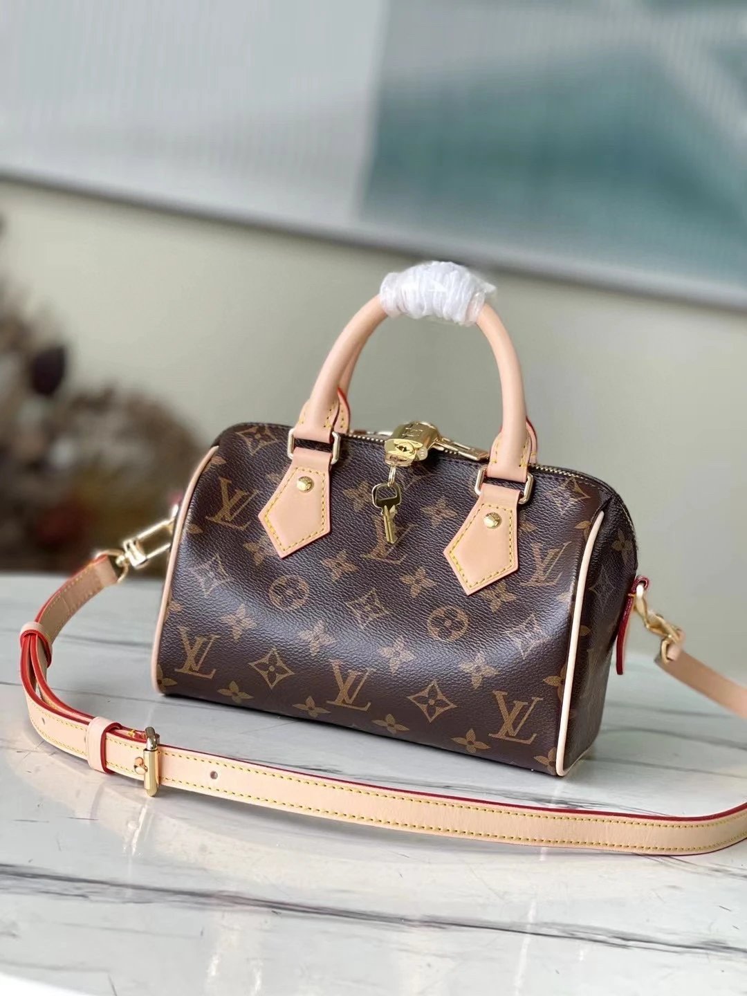 No.194 Women's Mini Speedy 20 Handbag in High/Standard Quality
