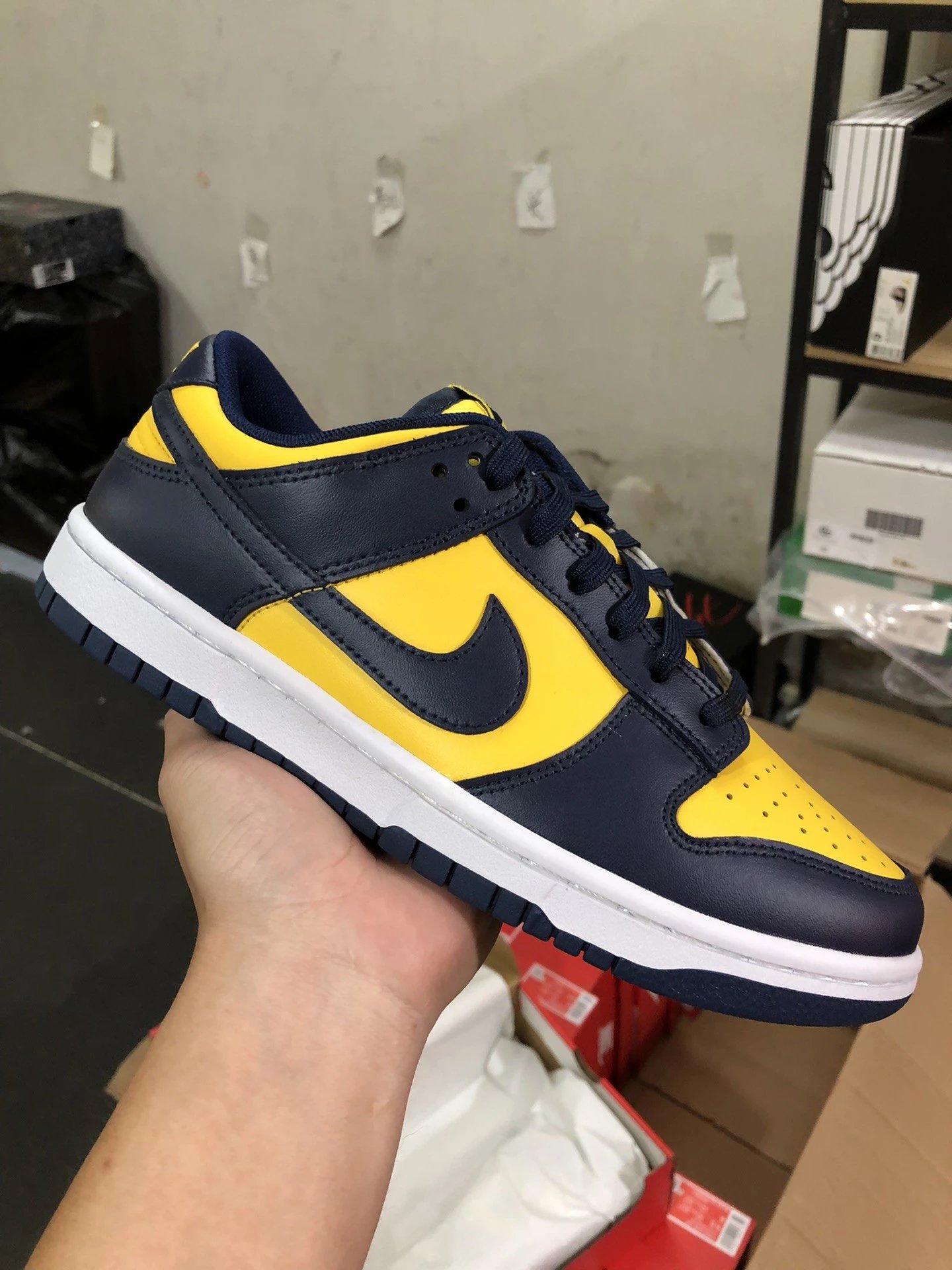 Nike Dunk Michigan