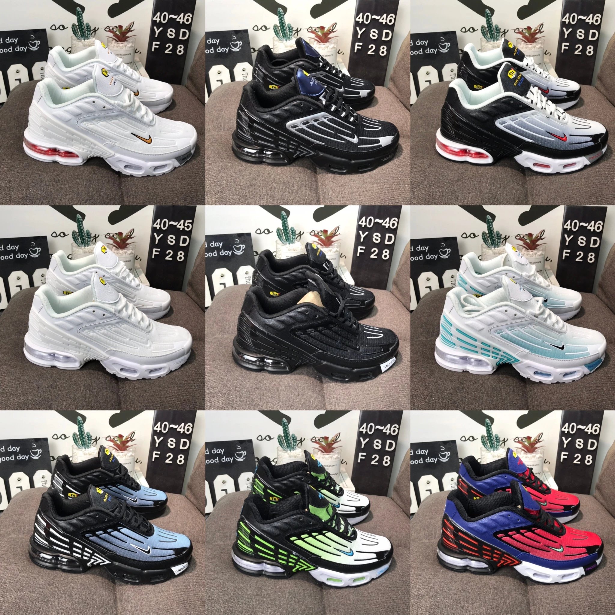 [TN] PLUS